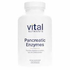 Vital Nutrients Pancreatic Enzymes 1000mg (Full Strength) | Pancreatin Digestion Supplement with Protease, Amylase & Lipase | Digestive Enzymes | Gluten, Dairy, and Soy Free | 90 Capsules